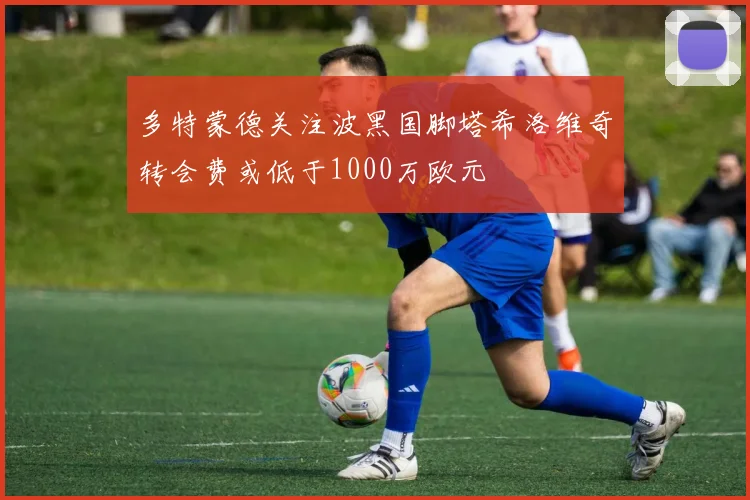 多特蒙德关注波黑国脚塔希洛维奇转会费或低于1000万欧元